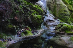 cascada de Camojan