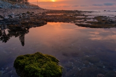 Piedra verde con alga en la costa de Marbella al amanecer.